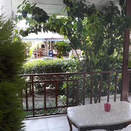 Jasmin 3*